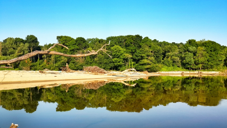Longoz Ormanları Milli Parkı